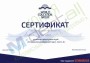 Курс «Специализированный курс, часть 2». «World Education Group», г.Санкт-Петербург